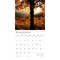 National Parks | 2026 12 x 24 Inch (Hanging) Monthly Square Wall Calendar | Plastic-Free | BrownTrout | Scenic Yosemite Yellowstone Nature